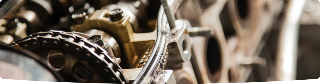 Inner workings of machinery